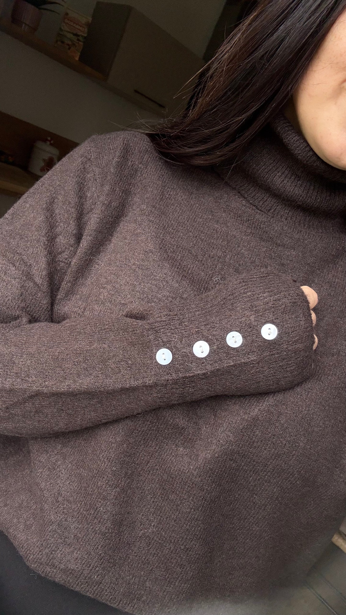 Pull col roulé marron